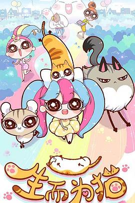 新郑网站优化推荐电话号